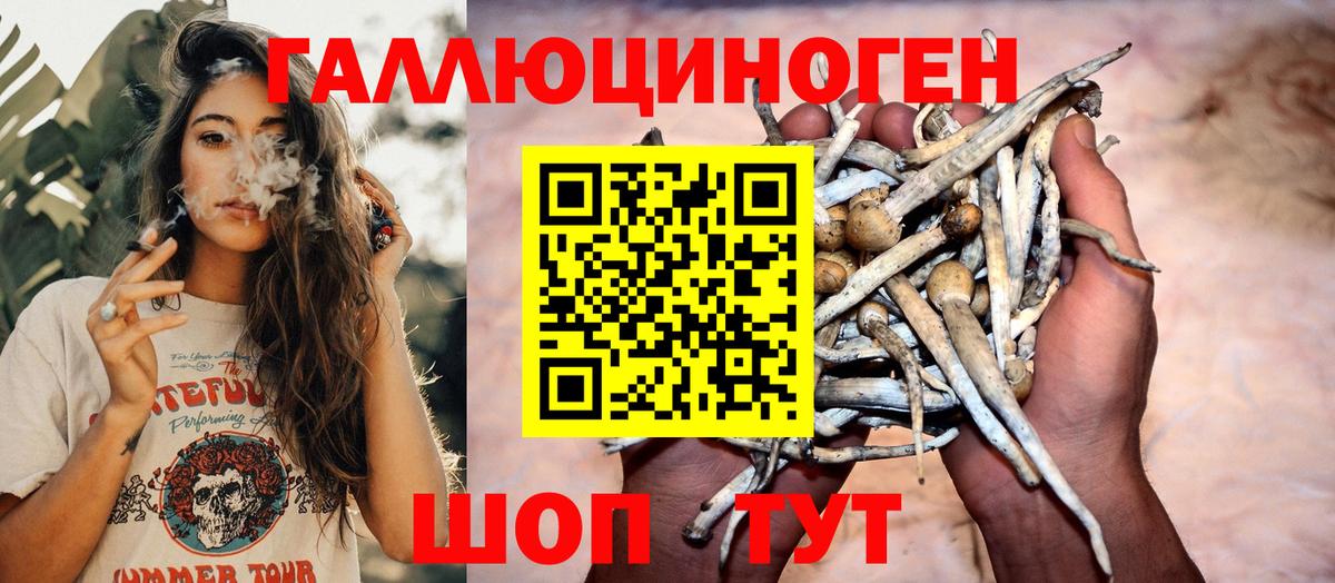 Псилоцибиновые грибы ЛСД Алушта