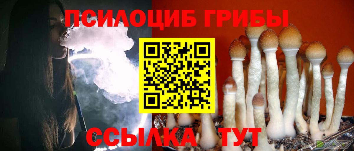 где купить наркотик  Вход с VPN  Алушта  Псилоцибиновые грибы мицелий 
